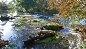 Aménagement Seuils Meuse Médiane_2