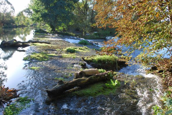 Aménagement Seuils Meuse Médiane_2