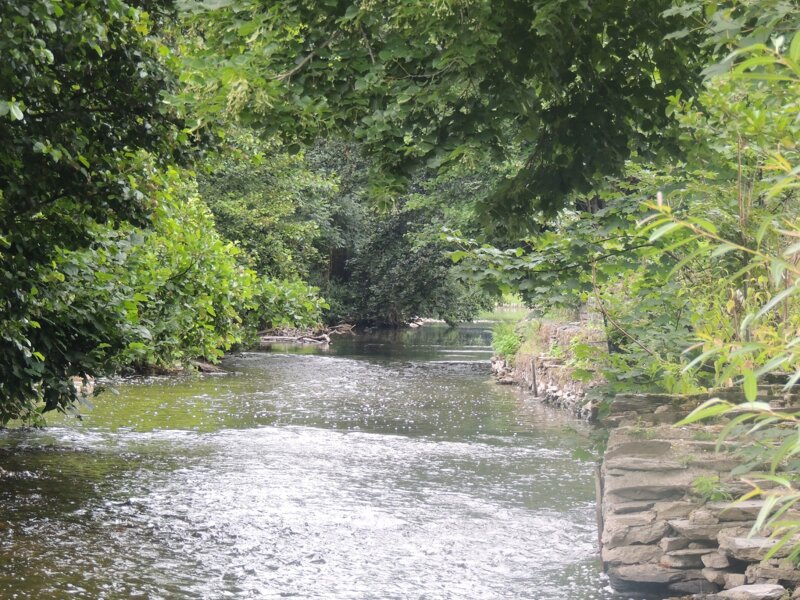 La Semois au moulin de Navaux, à Thilay (08) - 2