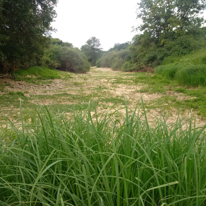 Pertes_de_la_Meuse_a_Bazoilles-sur-Meuse