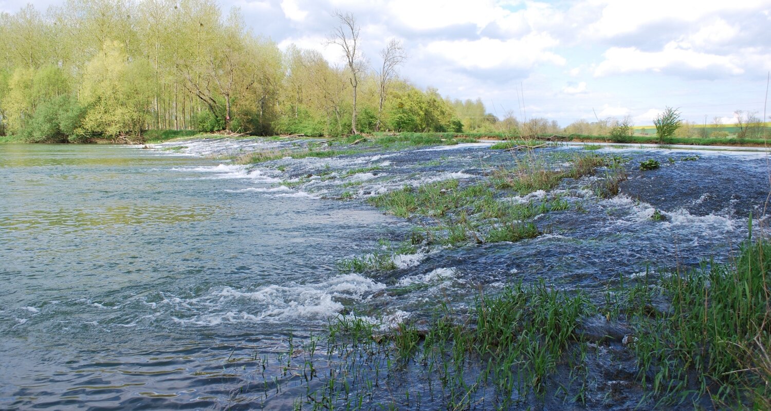 Diagnotic des cours d'eau - Header