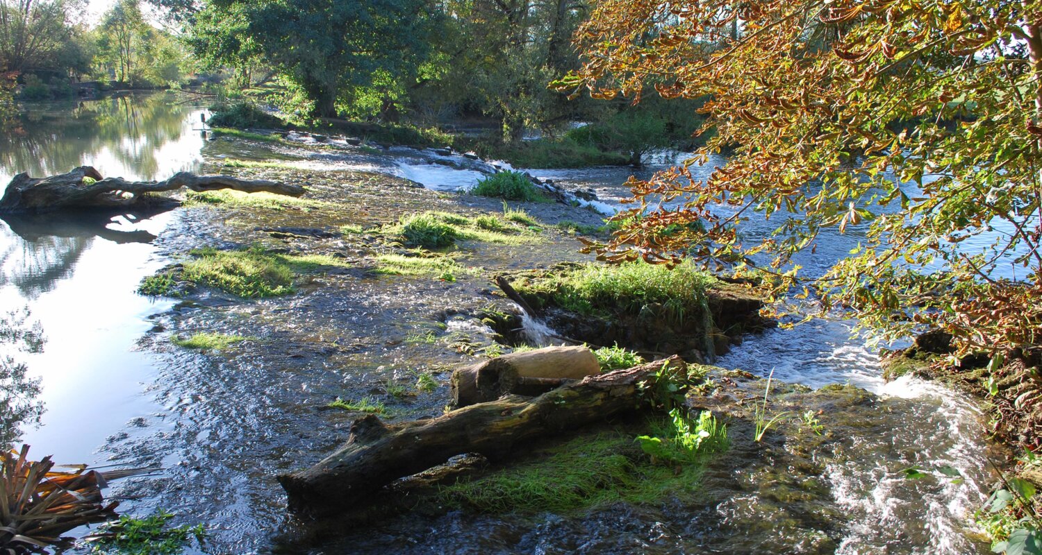 Aménagement Seuils Meuse Médiane_2