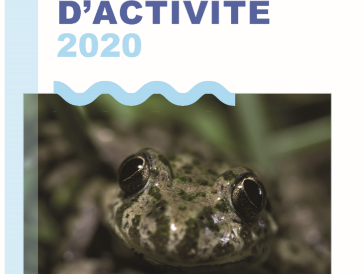 couverture_rapport_activites_2020