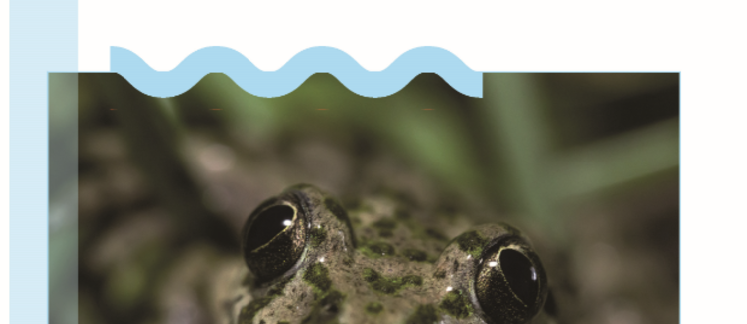 couverture_rapport_activites_2020