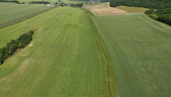 Linéaire du Réhaut dépourvu de végétation rivulaire