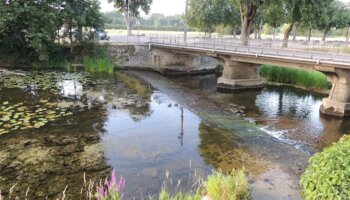 Seuil des Marronniers à Neufchateau