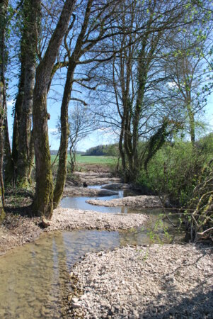 Diversification_poisson