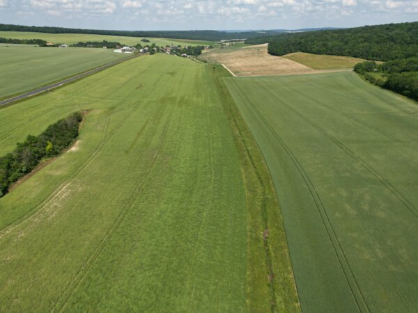 Linéaire du Réhaut dépourvu de végétation rivulaire
