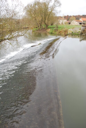 Aménagement Seuils Meuse Médiane_1