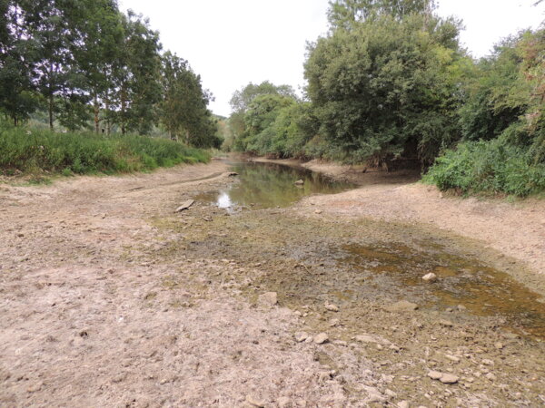 HEBMA - Pertes Bazoilles-sur-Meuse
