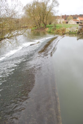 Aménagement Seuils Meuse Médiane_1