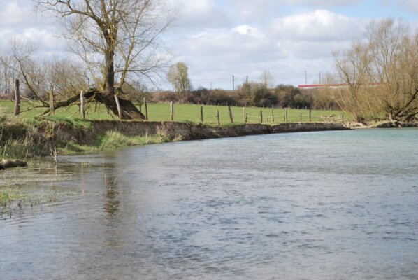 Erosion des berges (Bannoncourt)