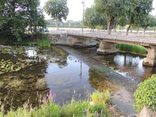 Seuil des Marronniers à Neufchateau