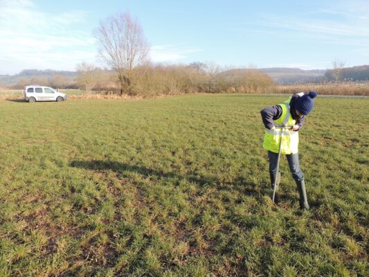 Vérification de présence de ZH à Levécourt